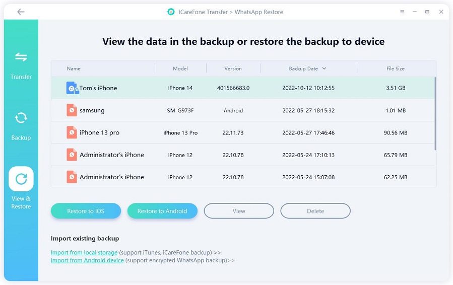 view the backedup data