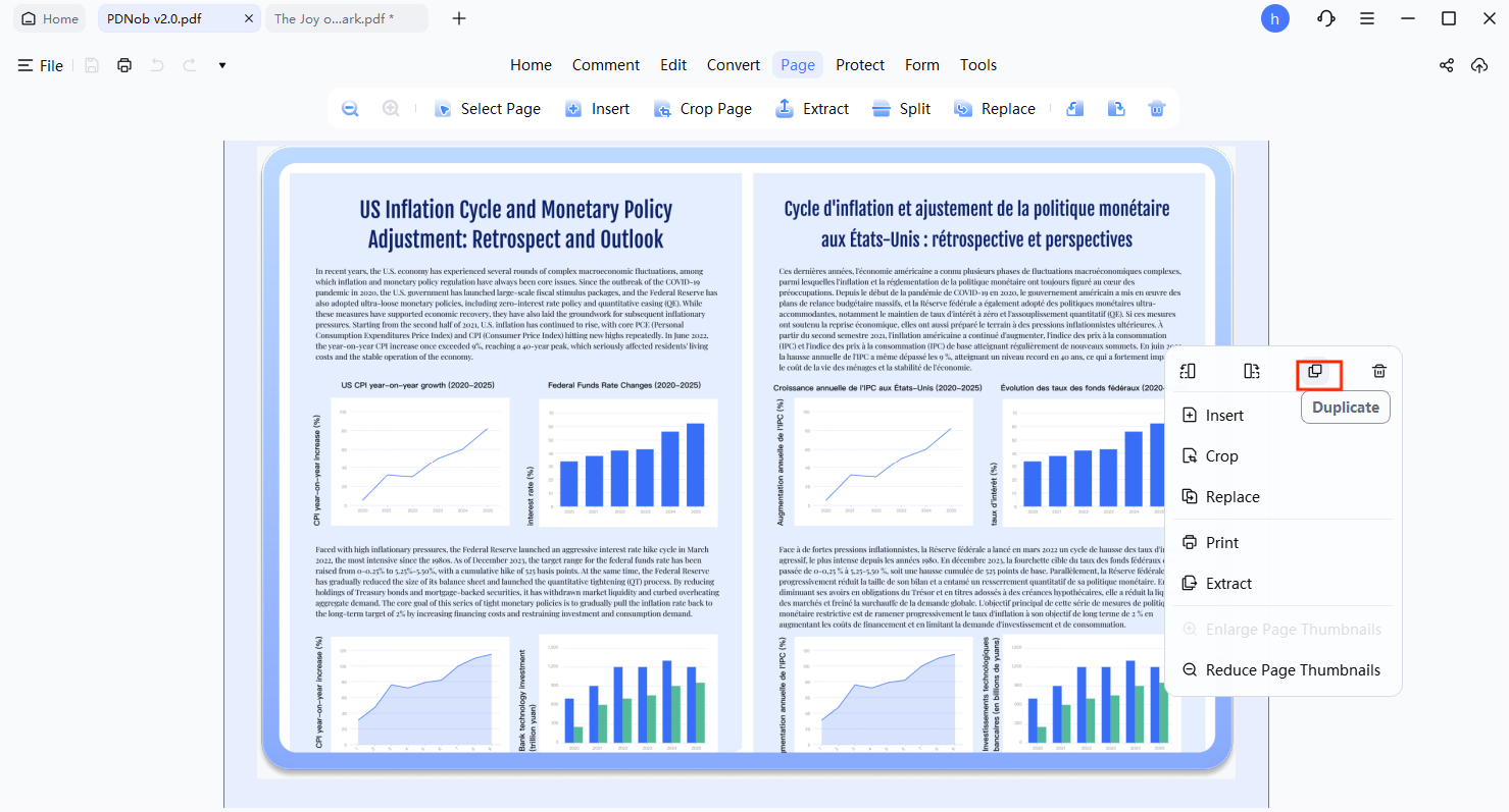 duplicate pages