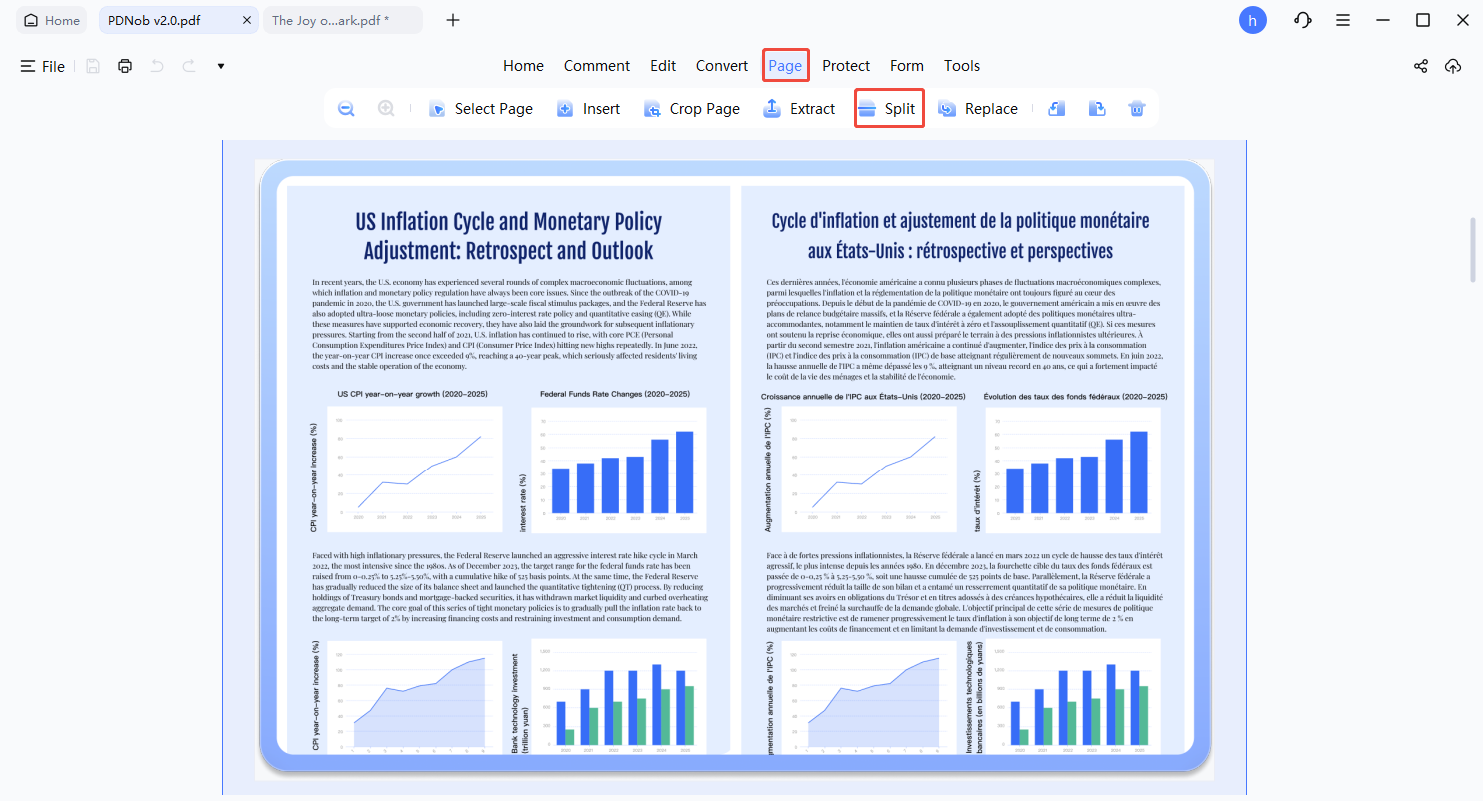pages split pdf